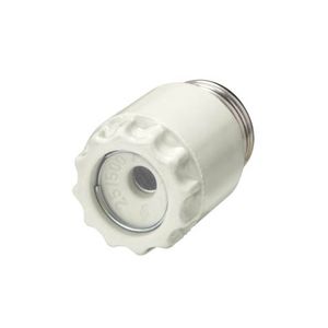 Tampa