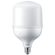 LAMPADA-LED-TRUEFORCE-E-27-BIV-25W-6500K