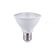 Lampada