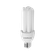 LAMPADA