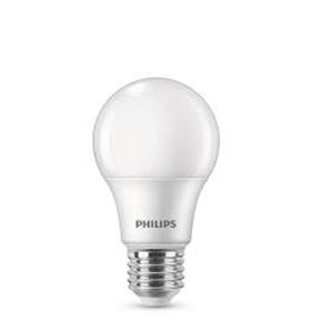 LAMPADA