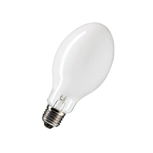 LAMPADA