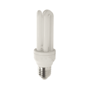 LAMPADA