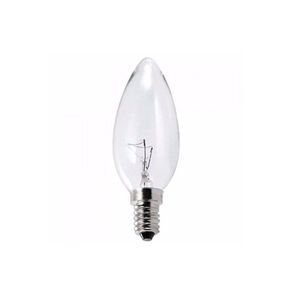 LAMPADA