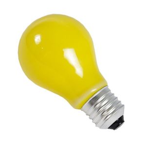LAMPADA