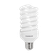 LAMPADA