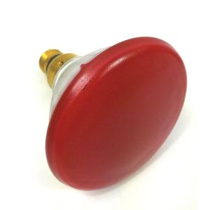 LAMPADA