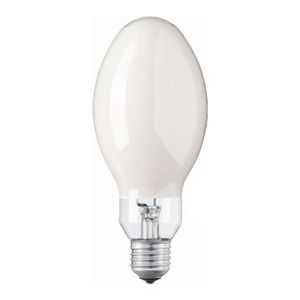 LAMPADA
