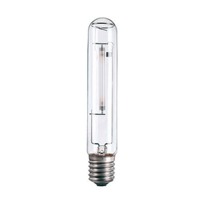 LAMPADA