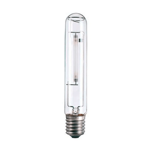 LAMPADA