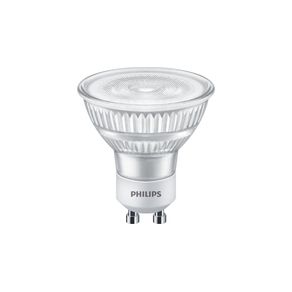 LAMPADA