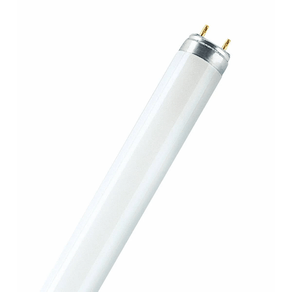 LAMPADA