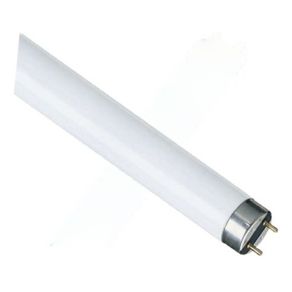 LAMPADA