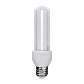 LAMPADA