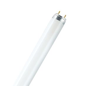 LAMPADA