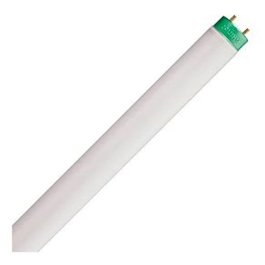 LAMPADA