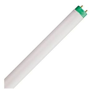 LAMPADA
