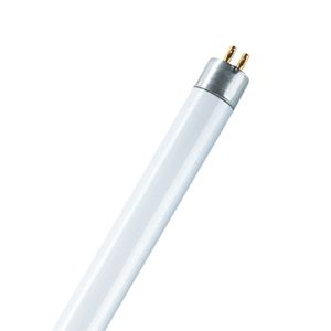 LAMPADA