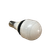 LAMPADA