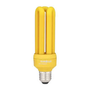 LAMPADA