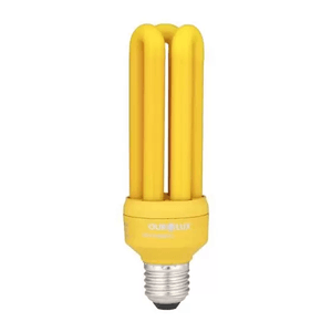 LAMPADA