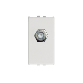 29750016