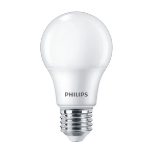 LAMPADA