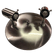 SPOT