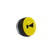 31880567