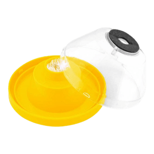 03000591
