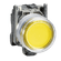 18581009
