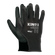 29050004