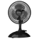 03160013