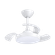 24420028